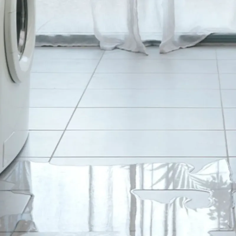 Appliance Leak Cleanup in Belmont, CA