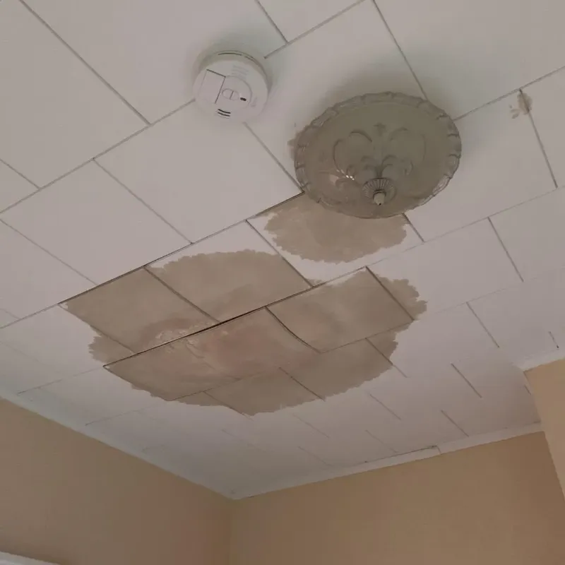 Ceiling Water Damage Repair in Belmont, CA