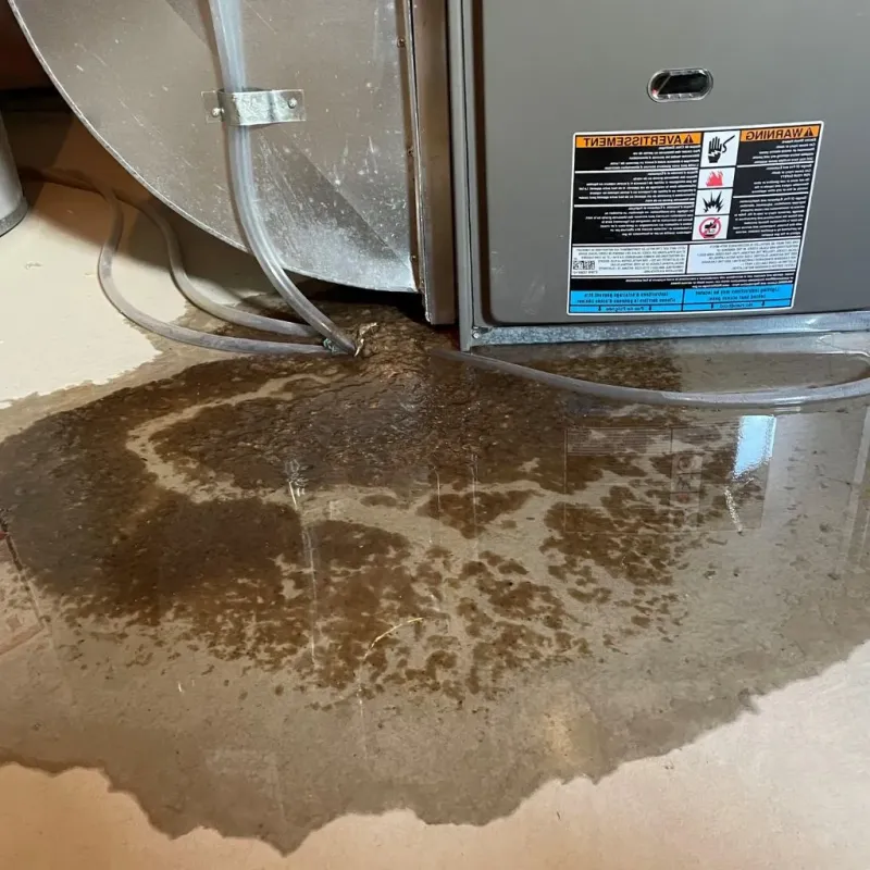 Pipe Burst and Leak Restoration in Belmont, CA