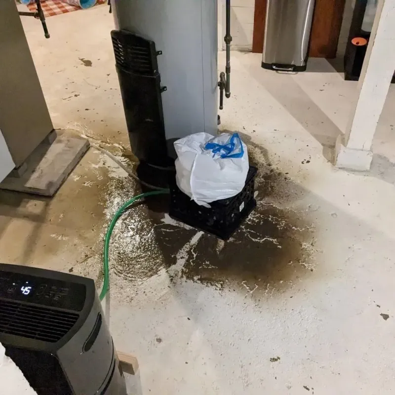Sewage Backup Cleanup Service in Belmont, CA